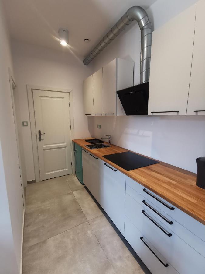 Nowe Apartamenty Zamkowa Vis A Vis Wawelu Красков Екстериор снимка
